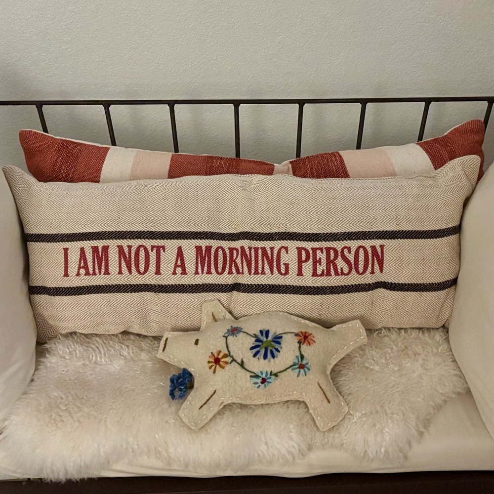 Pottery Barn I Am Not A Morning Person Accent Pillow 14x36 Housee de Coussin - Picture 4 of 4